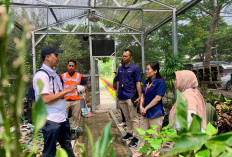 PT Terminal Teluk Lamong Gandeng Kebun Raya Purwodadi Perkuat Konservasi dan Keanekaragaman Hayati