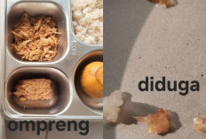 Menu MBG di Lamongan Diprotes Diduga Ada Ulat, SPPG Beri Klarifikasi Itu Udang Rebon