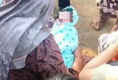 Bayi Baru Lahir Ditemukan Tergeletak di Bawah Pohon Mangga di Klampis Bangkalan, Polisi Lakukan Penyelidikan