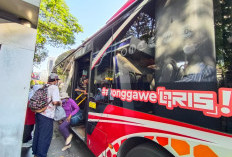 Semarak HJKS ke-733, Naik Suroboyo Bus hingga Parkir di Surabaya Cuma Bayar Rp733 Pakai QRIS