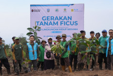 PLN Indonesia Power UBP Grati dan LPHD Arjuno Lestari Tanam Pohon Ficus untuk Jaga Kelestarian Sumber Air
