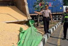 Dump Truk Bermuatan Jagung Terguling di Bypass Balongbendo, Kapolsek Turun Bantu Evakuasi