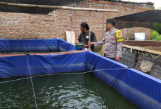 Polres Ngawi Dorong Budidaya Ikan Lele, Bhabinkamtibmas Jenangan Dampingi Warga