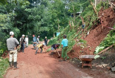 Awal Tahun 2026, Warga Situbondo Dihantui Bencana Tanah Longsor