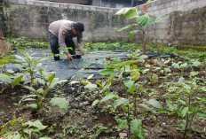 Sukseskan Program Asta Cita, Polsek Gucialit Aktif Dukung Ketahanan Pangan Nasional