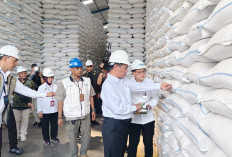 Bulog Jatim Serap 719 Ribu Ton Beras dan Siapkan Cadangan Pangan Hadapi El Nino 2026