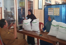 Viral di Medsos Dugaan Jual Beli Banpang, Bulog Gandeng Polisi Lakukan Penelusuran