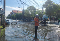 Surabaya Raya Dikepung Banjir, Proyek Saluran dan Air Pasang Perlambat Surutnya Air
