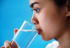 Pola 2-4-2 Bantu Cegah Dehidrasi saat Puasa di Cuaca Lembap