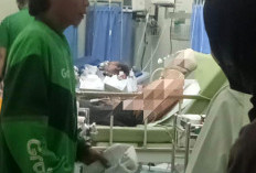 Buntut Pengeroyokan Oknum Perguruan Silat di Kalijudan, Satu Pemuda Kritis