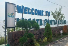 100 Bidang Lebih Tanah Negara Bersertipikat, Kades Labuhan Paciran Lamongan: Itu Sebelum Saya Menjabat