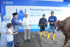 BRI Group Distribusikan 5.000 Lebih Hewan Kurban Idul Adha di Berbagai Daerah Indonesia