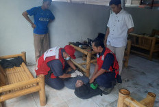 PMI Jember Evakuasi Mahasiswa Sesak Nafas di Warung, Korban Dinyatakan Meninggal di RS
