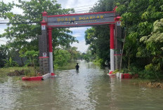 Kali Lamong Meluap Lagi, Belasan Desa di Gresik Selatan Kembali Terdampak