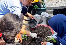 Potensi Peningkatan Perekonomian Masyarakat Kampung Katuk Krembangan Utara Surabaya
