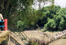 DPU Bina Marga Jatim Ungkap Penyebab Robohnya Jembatan di Jember: Elevasi Tak Memadai