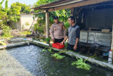 Bhabinkamtibmas Geneng Monitoring Budidaya Lele Warga, Perkuat Ketahanan Pangan di Ngawi 
