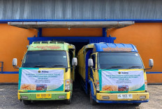 Bulog Jatim Salurkan 100 Ribu Ton Jagung SPHP, Peternak Bisa Tebus Rp5.000 per Kg