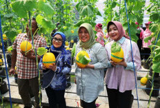 Antisipasi Lonjakan Harga Akhir Tahun, Pemkot Surabaya Ajak Warga Budidaya Cabai dan Bawang