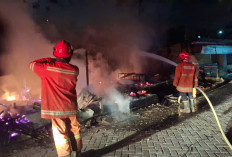 Si Jago Merah Kembali Ngamuk di Manyar Gresik, Ludeskan Warung Warga