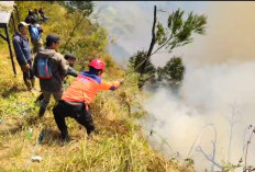 Kebakaran Hutan Bromo Meluas, Api Merambat ke Tebing Curam dan Ranu Pani
