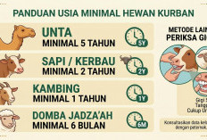 Ini Panduan Memilih Hewan Kurban untuk Iduladha