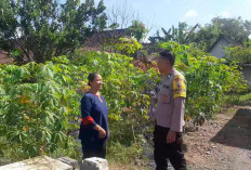 Ketela Jadi Andalan Ketahanan Pangan, Polsek Padas Dampingi Warga Manfaatkan Pekarangan Produktif di Ngawi