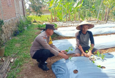Dorong Ketahanan Pangan, Bhabinkamtibmas Polres Ngawi Monitoring Pekarangan Bergizi di Umbulrejo