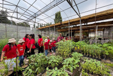 Sambut Natal 2025, favehotel Sidoarjo Ajak Anak Panti Asuhan Belajar Bertani di Puspa Lebo
