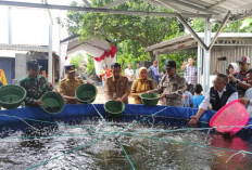 Dinas KPP Nganjuk Siapkan 60 Ribu Bibit Lele Dukung Ketahanan Pangan