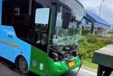 Bus Trans Jatim Tabrakan Beruntun dengan Dua Truk di Sidayu Gresik