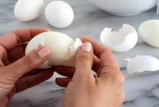 5 Tips Telur Rebus Mudah Dikupas Tanpa Merusak Permukaan