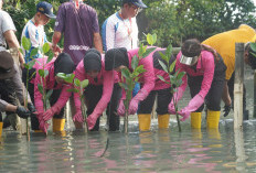 Hijaukan Pesisir Kalianak, Bhayangkari Polres Pelabuhan Tanjung Perak Sulap Lahan Kritis Jadi Hutan Mangrove