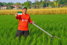 JKN Hadir hingga Pelosok Desa, Petani Madiun Kini Lebih Tenang Berobat