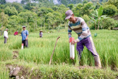 Pasang Patok Batas, Cara Sederhana Cegah Sengketa Tanah di Tulungagung