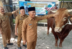 Plt Bupati Tulungagung Serahkan Sapi Kurban Presiden Prabowo Si Fajar di Boyolangu