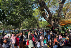 Membludak di Akhir Pekan, KBS Surabaya Dipadati 16 Ribu Pengunjung saat Libur Sekolah