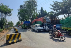  Pelindo Diminta Perkuat Sistem Antrean Truk Ro-Ro di Surabaya untuk Cegah Parkir Liar