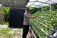 Polsek Pabean Cantikan Dukung Ketahanan Pangan Lewat Pembinaan Petani Hidroponik