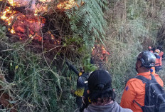 Khofifah Siapkan Santunan Rp40 Juta bagi Keluarga Empat Korban Karhutla Bromo