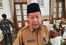 Penyakit Mirip Flu Jangkiti 10 Kecamatan di Situbondo, Kendit Tertinggi dengan 14 Kasus