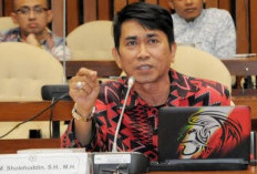 Kecelakaan Usai Mabuk, Prof Sholehuddin: Hukum Berat Biar Jera