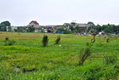 Pusat Kucurkan Dana Rp225 Miliar, SR Bakal Dibangun di Purworejo