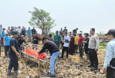 Hilang Sejak 10 Oktober 2026, Lansia Lamongan Ditemukan Tewas di Persawahan Pucuk 