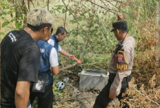 4 Jam Dibekuk! URC Jaka Tingkir Tangkap Pencuri Brankas Sekolah di Lamongan