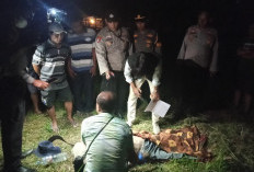 Lansia Asal Wates Ditemukan Meninggal di Perkebunan Ketami, Polisi Pastikan karena Sakit