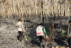 Asap Tebal Ganggu Jalan Raya, Polisi Ngawi Gerak Cepat Padamkan Api di Hutan Kedunggalar 