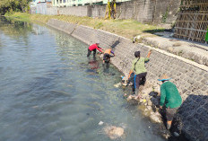 Sambut Muktamar Ke-35 NU, PUPR Jombang Normalisasi Drainase dan Siapkan Area Parkir Tambakberas