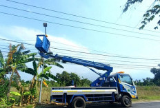 Jalur Bangil-Sukorejo Pasuruan Kian Terang, 385 Titik PJU Pakai Smart System