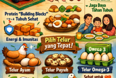Ayo Makan Telur